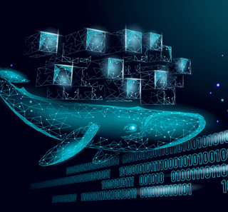 Conteinerização e gerenciamento de Kubernetes: entenda melhor!